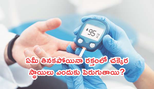 ఏమీ తినకపోయినా రక్తంలో చక్కెర స్థాయిలు ఎందుకు పెరుగుతాయి? వైద్యులు వెల్లడించిన 7 ముఖ్యమైన కారణాలు!